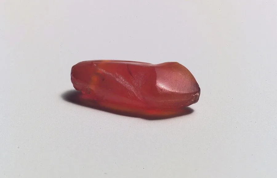 An Egyptian carnelian snake-head amulet: A snake head carved in carnelian, ancient Egypt.