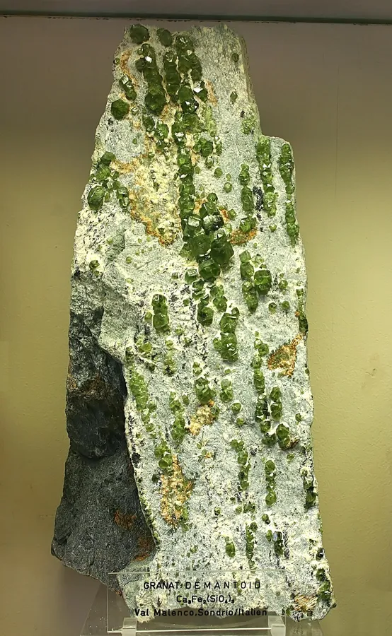 Demantoid in its rock from Val Malenco: Green demantoid garnets scattered through rock from Val Malenco, Sondrio, Italy, one of the classic European demantoid localities.
