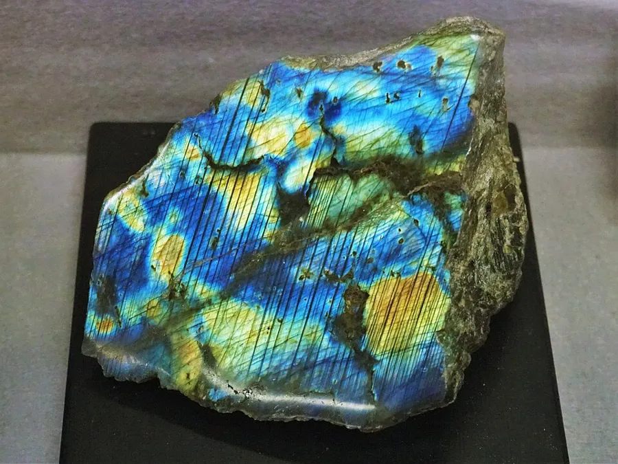 Labradorite at the Akita University mining museum: A labradorite specimen on display at the mining museum of Akita University. Unknown locality, Natural specimen.