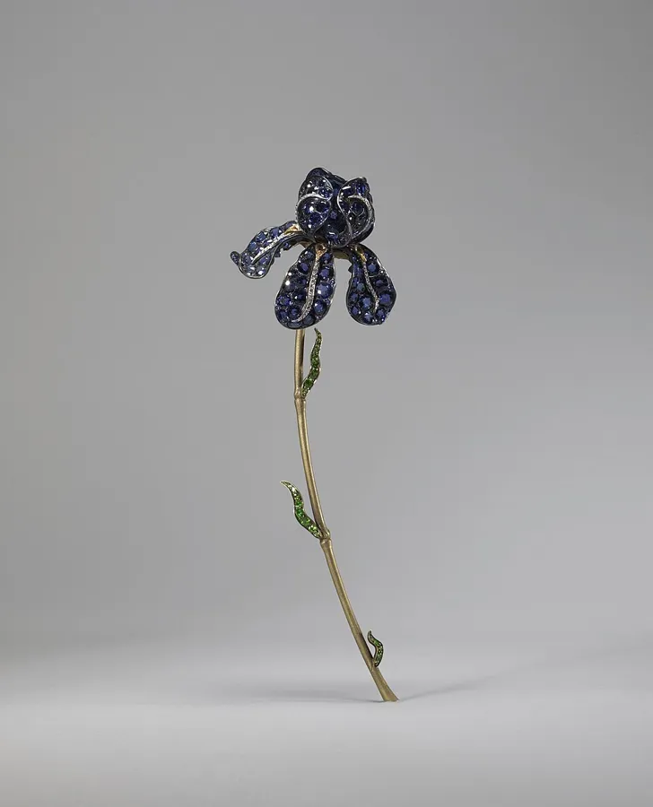 The Iris Corsage Ornament by Tiffany & Co.: An iris brooch designed by G. Paulding Farnham for Tiffany & Co. and shown at the Paris Exposition Universelle of 1900. The petals are Montana sapphires, the bearding on the petals is set with citrines, and the leaf-like sheaths on the stem are demantoid garnets.