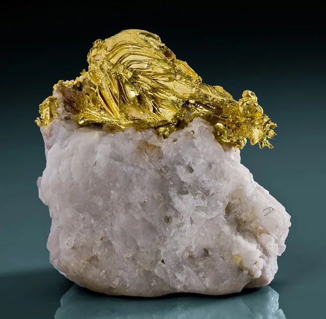 Native gold on quartz: leafy crystals of pure gold, the way it grows in a quartz vein.