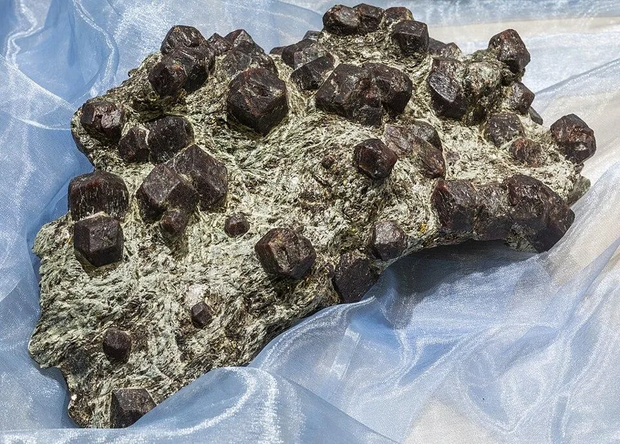 Garnets grown inside schist, Ötztal, Austria