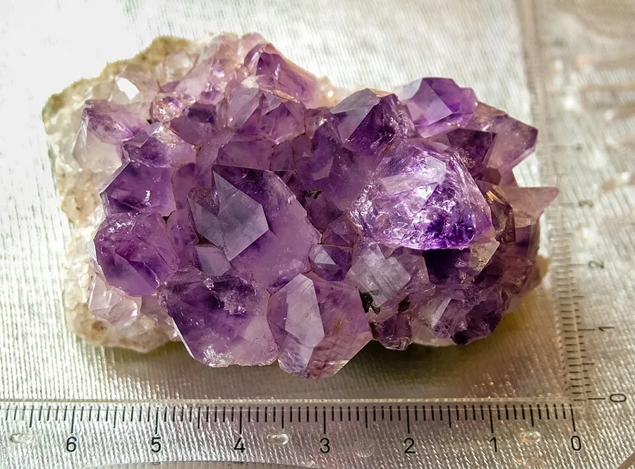 Raw amethyst crystals as they grow, packed points lining the inside of a geode.