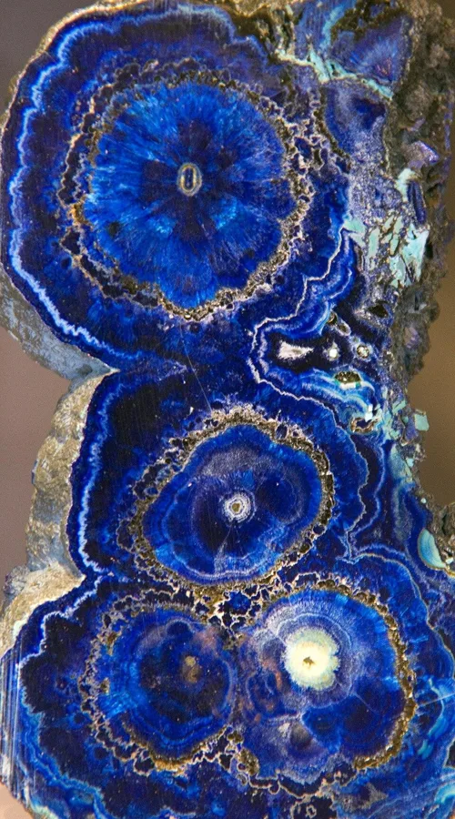 Azurite stalactites, sliced, Bisbee, Arizona, USA