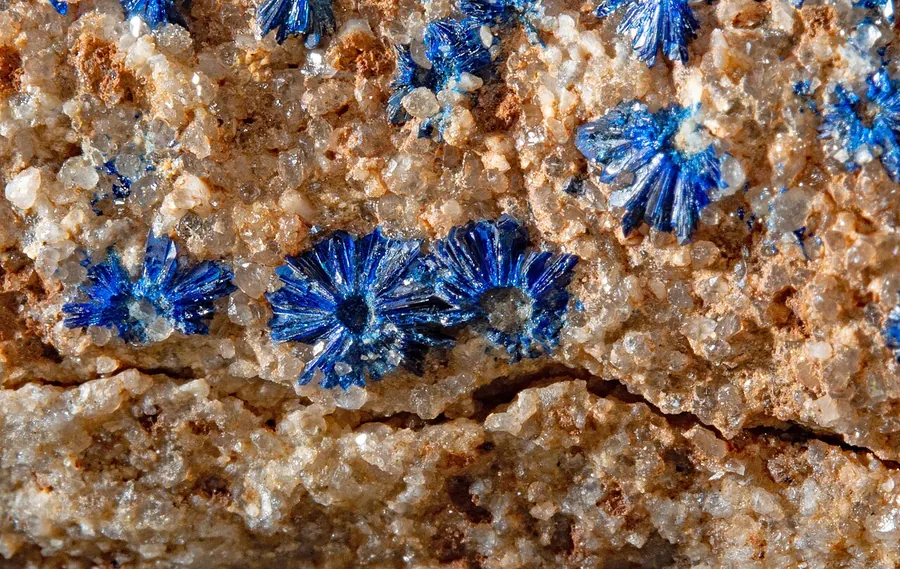 Azurite also grows as radiating sprays of thin blue crystals, here scattered across their host rock.