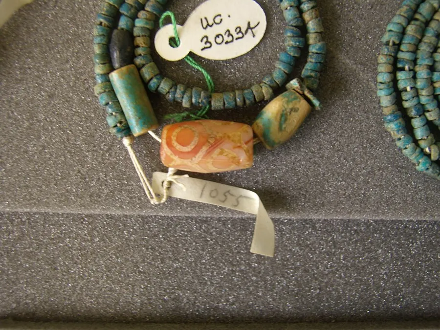 The etched Indus-style carnelian bead from tomb 197 at Abydos, Petrie Museum.