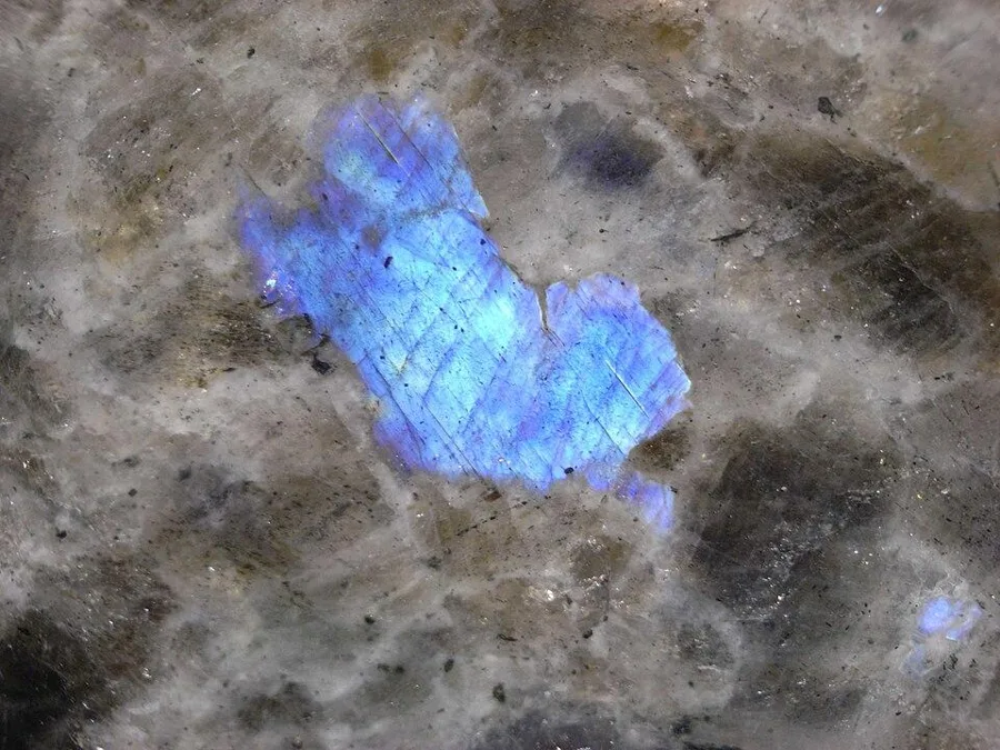 Labradorite flashing blue inside anorthosite rock from Paul Island, Labrador, Canada, the land the stone is named after. Stonemasons call it Blue Eyes.
