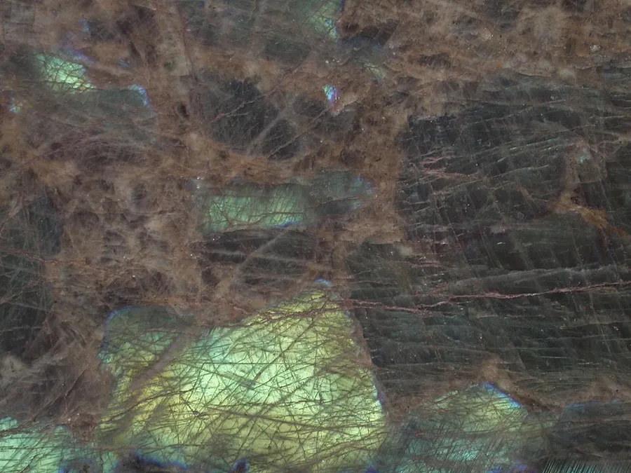 Close-up of a polished labradorite surface showing its schiller: patches of colour that switch on where the hidden layers face the light.
