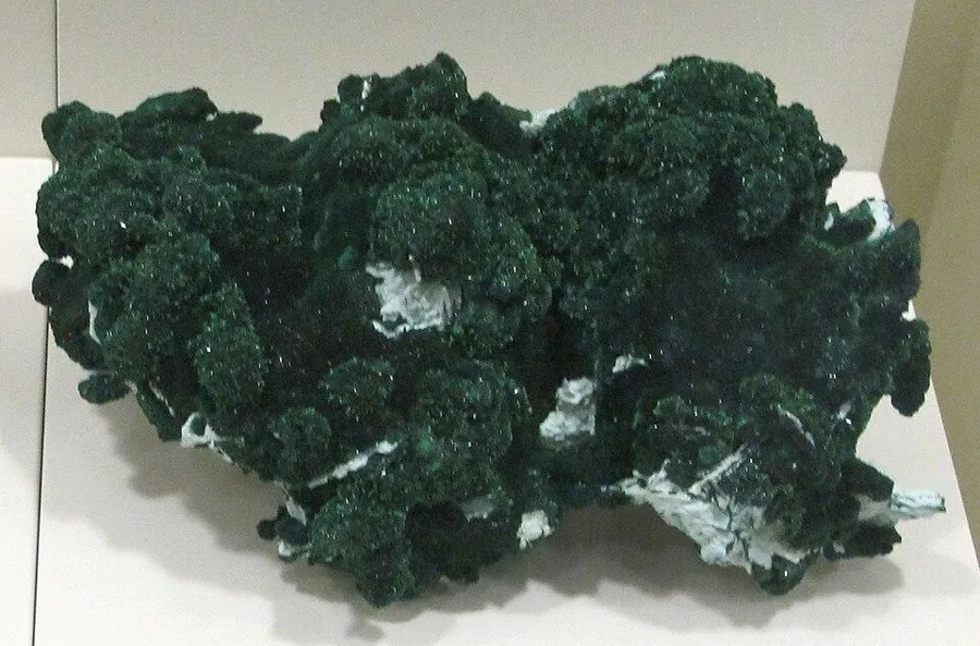 Velvet malachite, Kolwezi, Democratic Republic of Congo