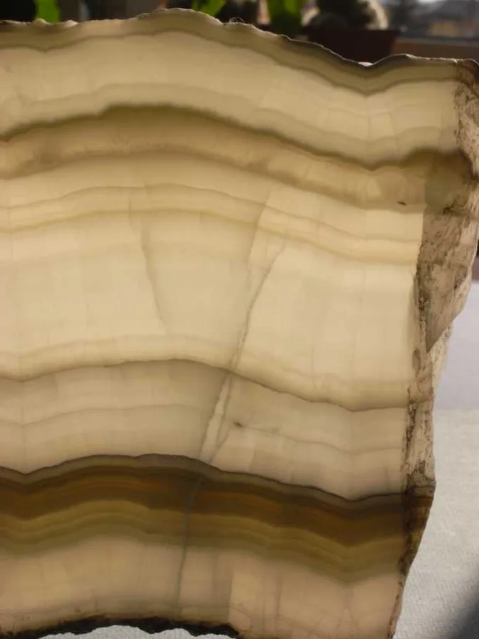 Onyx marble cut open: banded calcite laid down layer by layer by mineral springs.