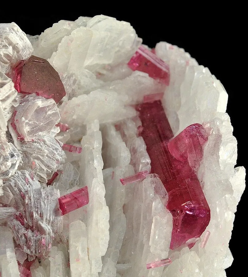 Red tourmaline on white feldspar, Jonas mine, Minas Gerais, Brazil