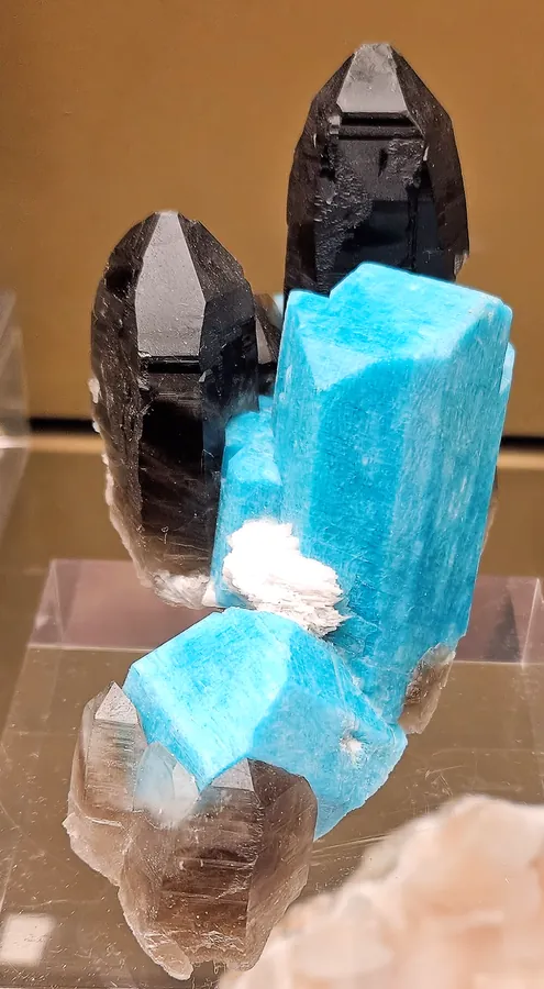 Smoky quartz with blue-green amazonite, the classic pairing from the Pikes Peak granite of Colorado. Natural History Museum of Los Angeles County.